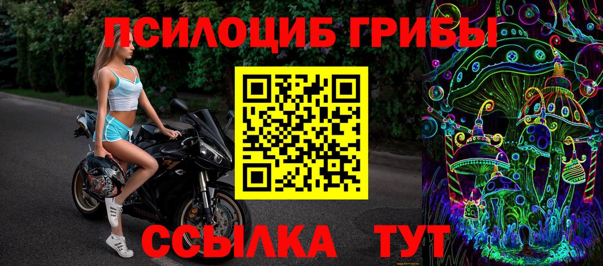 Псилоцибиновые грибы Psilocybine cubensis Ижевск
