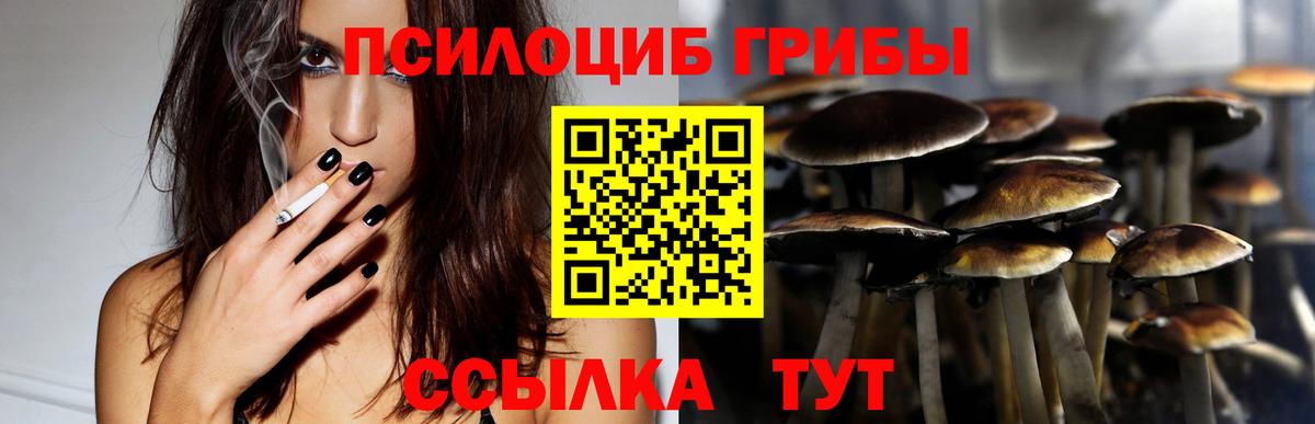 Ижевск  Псилоцибиновые грибы Magic Shrooms  Вход с VPN 